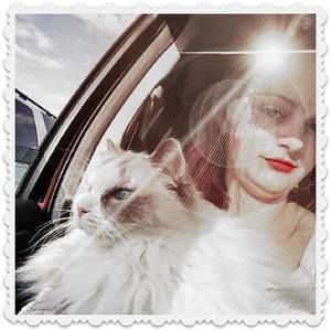 Meet your Posher, Maggie